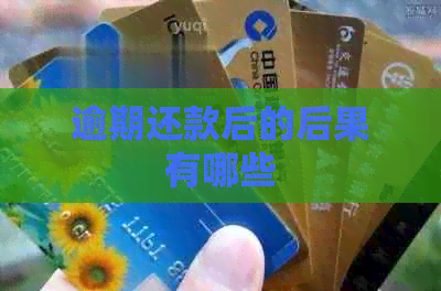 逾期还款后的后果有哪些