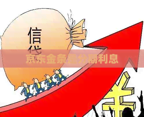 京东金条是分期利息