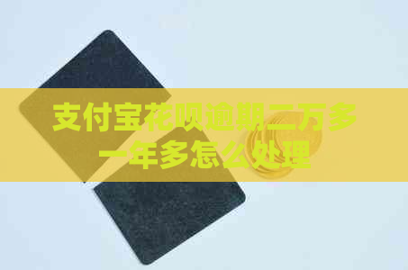信用卡白条逾期二万多一年多怎么处理