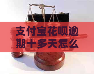 信用卡白条逾期十多天怎么办