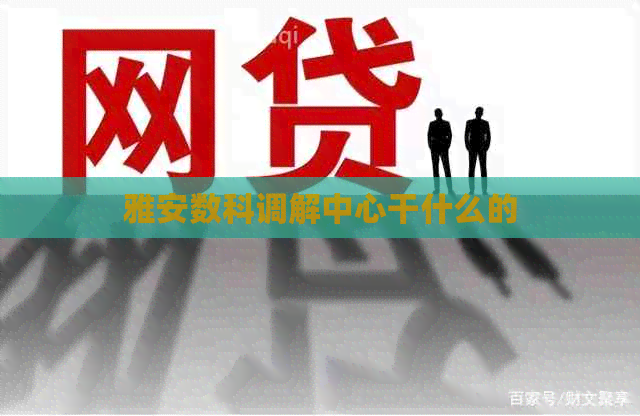 雅安数科调解中心干什么的