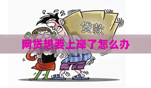 网贷想要上岸了怎么办