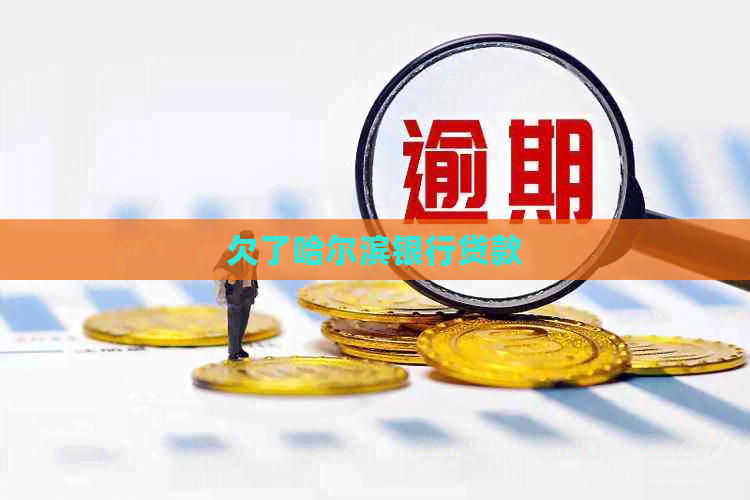 欠了哈尔滨银行贷款