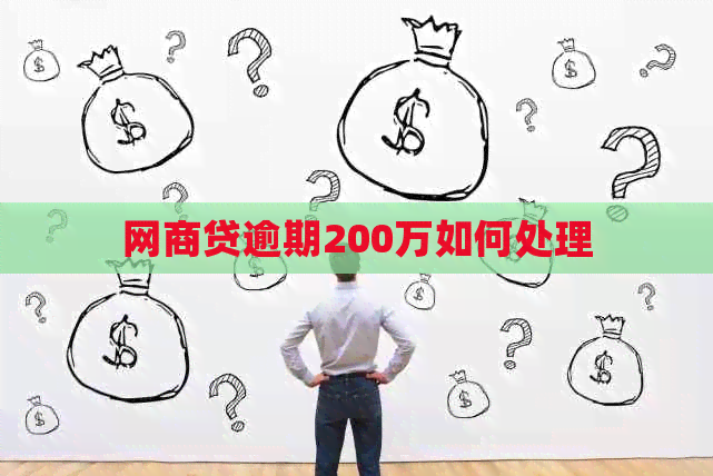 白条贷逾期200万如何处理