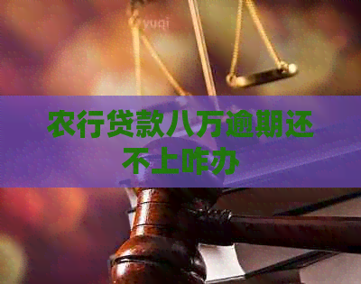 农行贷款八万逾期还不上咋办