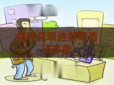 信用卡白条逾期可否还本金
