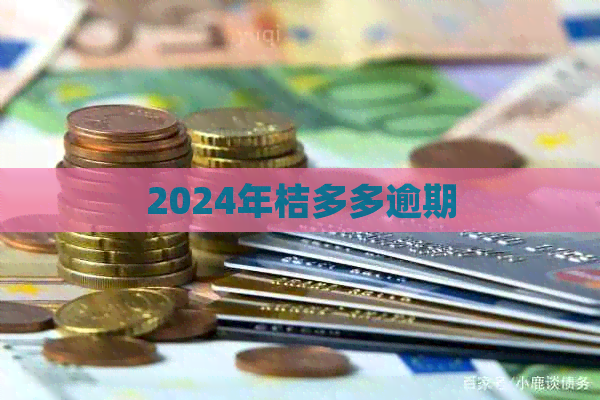 2024年桔多多逾期