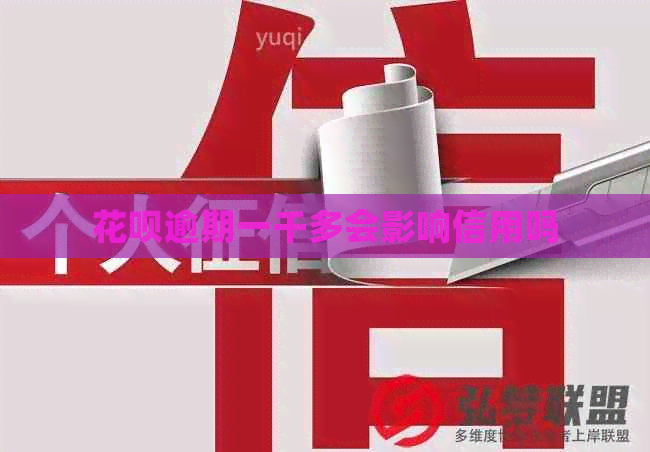 白条逾期一千多会影响信用吗