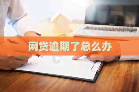 网贷逾期了总么办