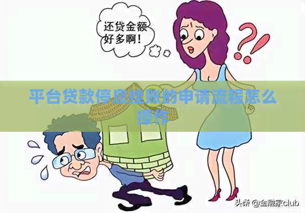 平台贷款停息挂账的申请流程怎么操作