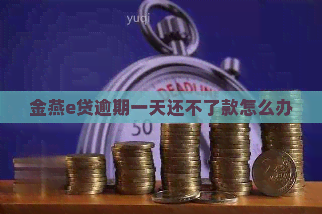金燕e贷逾期一天还不了款怎么办