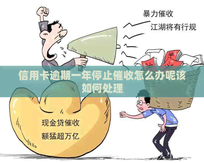 信用卡逾期一年停止怎么办呢该如何处理