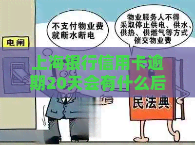 上海银行信用卡逾期20天会有什么后果