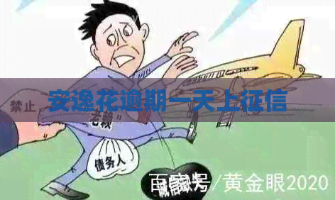 安逸花逾期一天上