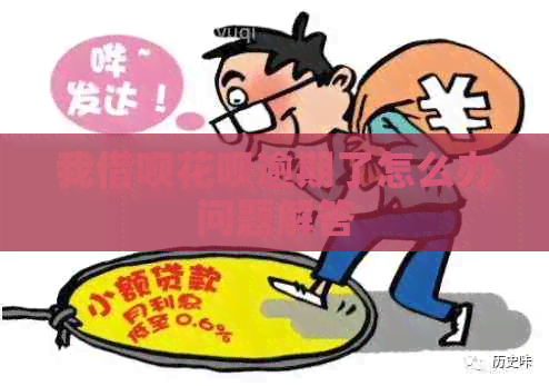 我信用卡白条逾期了怎么办问题解答