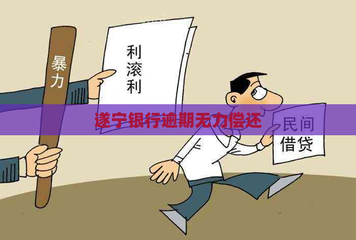 遂宁银行逾期无力偿还