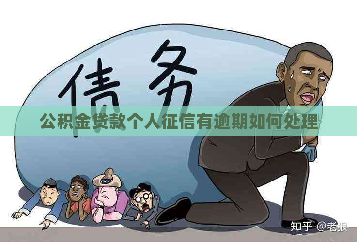 公积金贷款个人有逾期如何处理