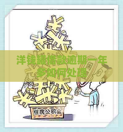 洋钱罐借款逾期一年多如何处理