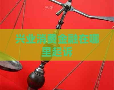 兴业消费金融在哪里起诉