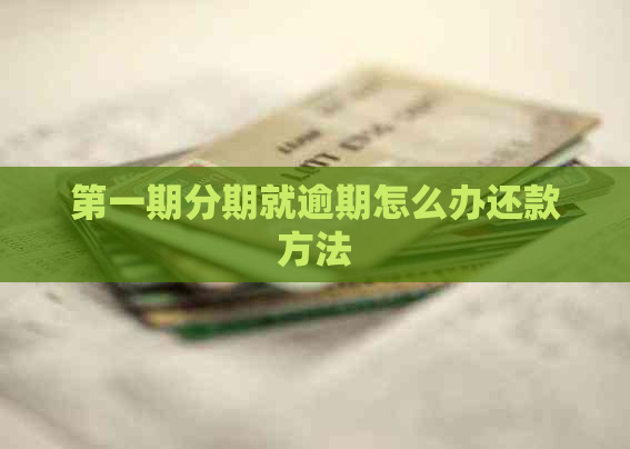 之一期分期就逾期怎么办还款方法