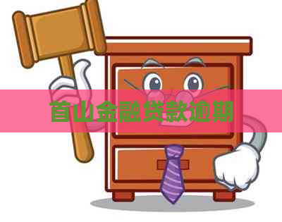 首山金融贷款逾期