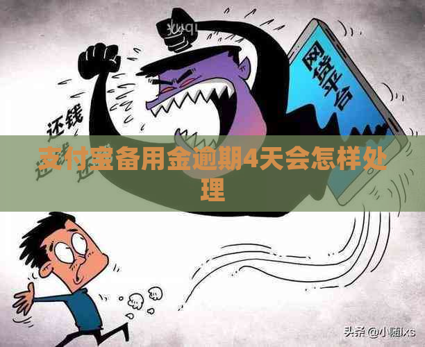 支付宝备用金逾期4天会怎样处理