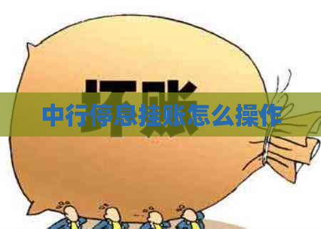 中行停息挂账怎么操作