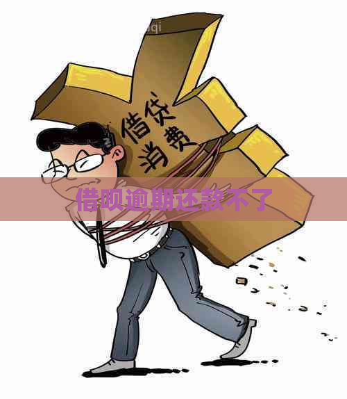 借呗逾期还款不了