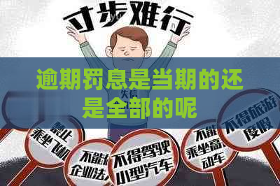 逾期罚息是当期的还是全部的呢
