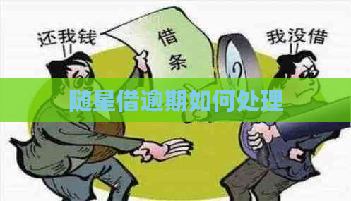 随星借逾期如何处理
