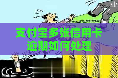 支付宝多张信用卡逾期如何处理