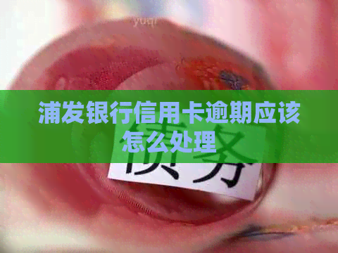 浦发银行信用卡逾期应该怎么处理