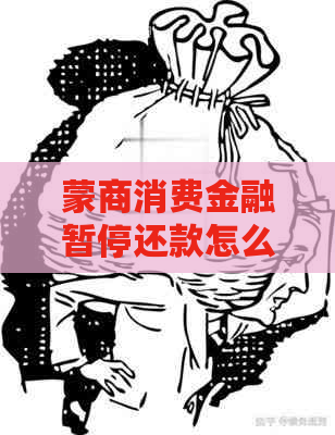 蒙商消费金融暂停还款怎么办可以采取哪些措施