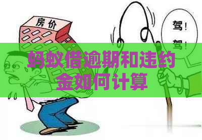 蚂蚁借逾期和违约金如何计算
