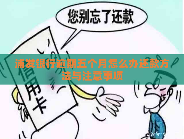 浦发银行逾期五个月怎么办还款方法与注意事项