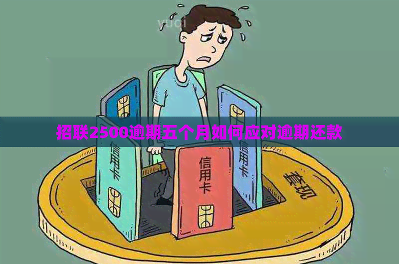 招联2500逾期五个月如何应对逾期还款