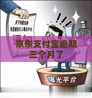 京东支付宝逾期三个月了