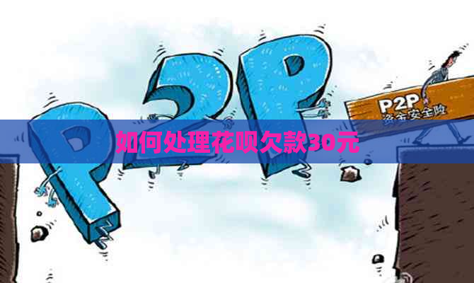 如何处理花呗欠款30元