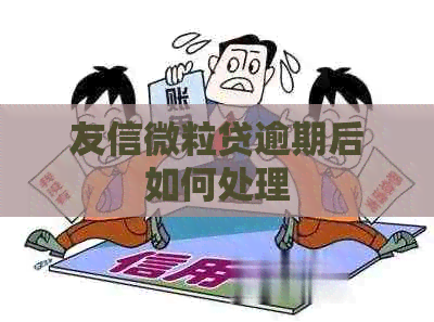 友信微粒贷逾期后如何处理