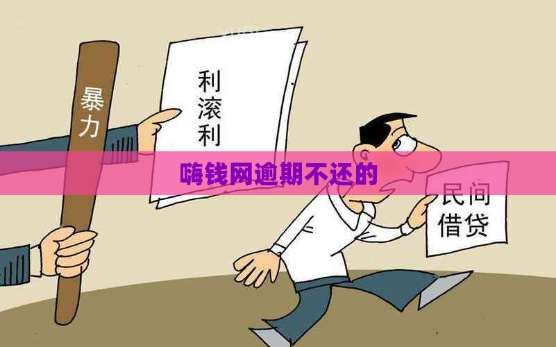 嗨钱网逾期不还的