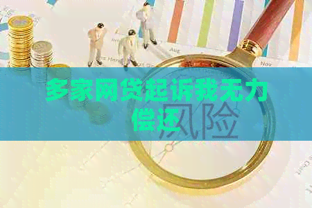 多家网贷起诉我无力偿还