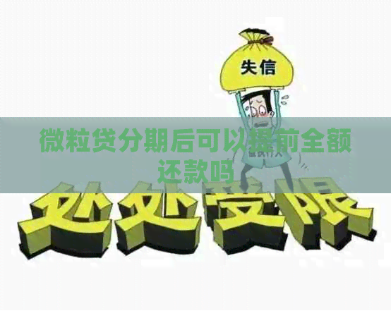 微粒贷分期后可以提前全额还款吗