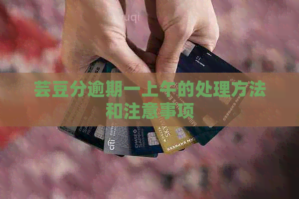 芸豆分逾期一上午的处理方法和注意事项