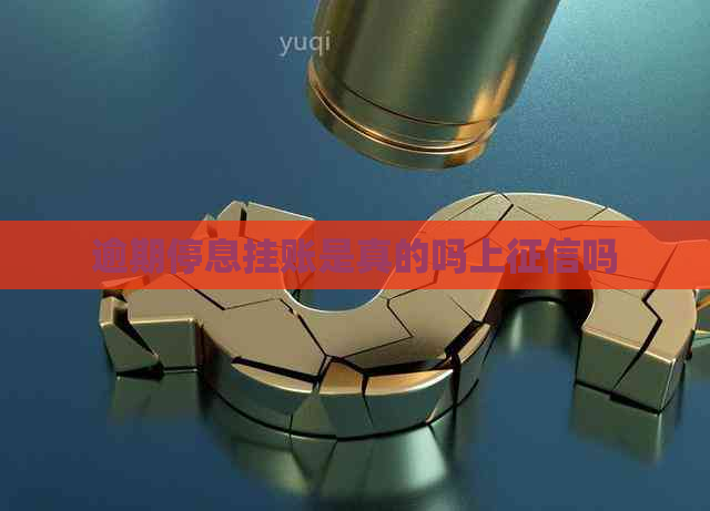 逾期停息挂账是真的吗上吗