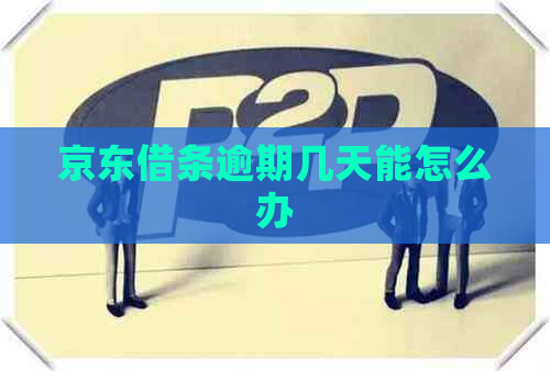 京东借条逾期几天能怎么办