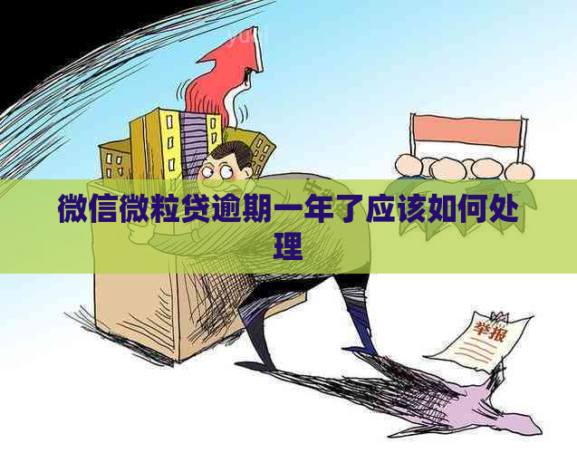 微信微粒贷逾期一年了应该如何处理