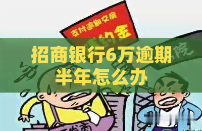 招商银行6万逾期半年怎么办