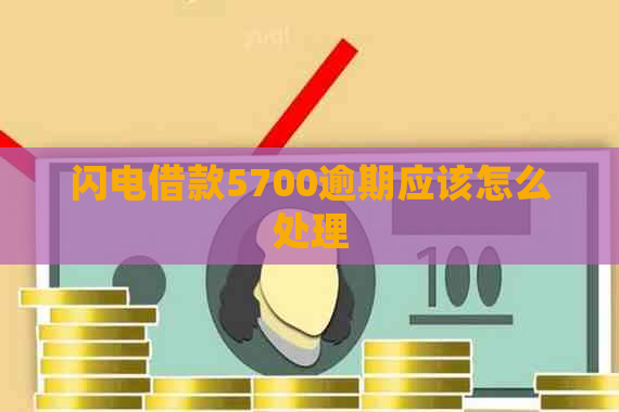 闪电借款5700逾期应该怎么处理