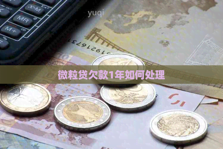 微粒贷欠款1年如何处理 微粒贷欠款1年如何处理