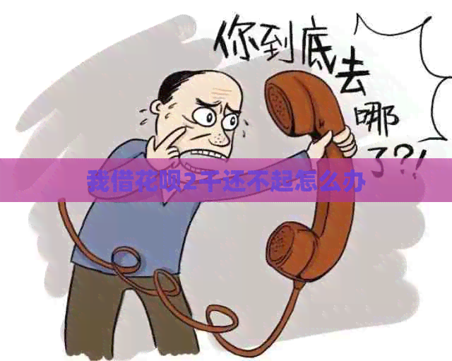 我借白条2千还不起怎么办